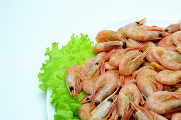 shrimp on a plate salad