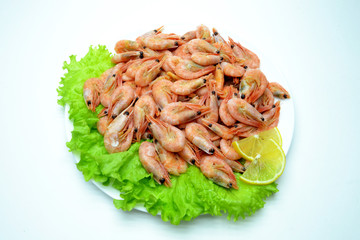 shrimp on a plate salad