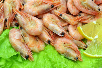shrimp on a plate salad