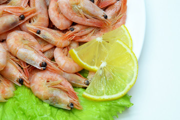 shrimp on a plate salad