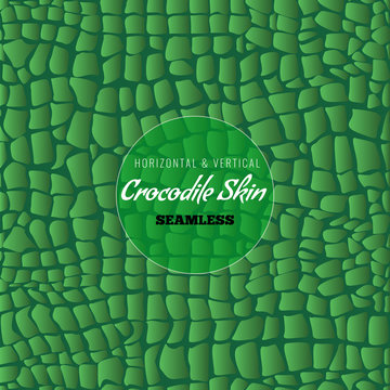 Reptile Alligator skin seamless pattern. Crocodile skin texture. Vector illustration.