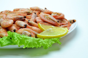 shrimp on a plate salad