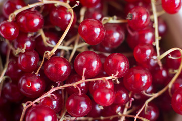 Vitamins. Summer berries. Red currant background. Close up, selective focus. Harvest Concept.
