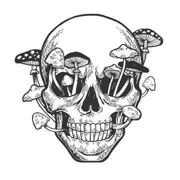Human skull and mushroom sprouted sketch engraving vector illustration. Scratch board style imitation. Hand drawn image.