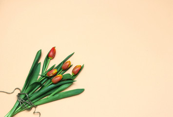 Spring tulips background. Flat lay bouquet of tulips. Frame with red yellow tulips. Spring flowers lovely background