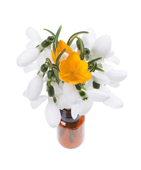 Bouquet of snowdrops and crocus on isolated white background