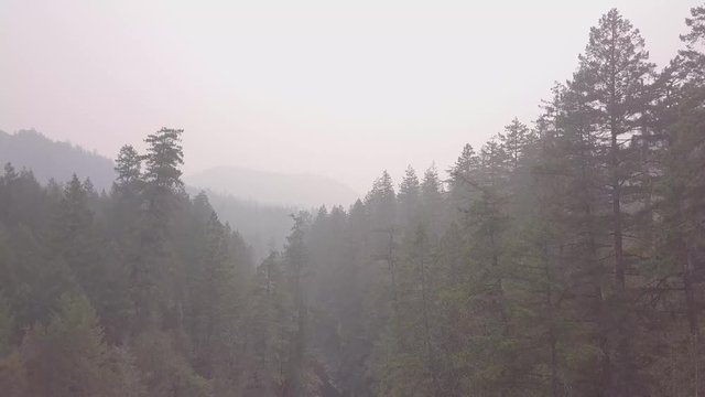Aerial shot of smoke over forest, panning down to view a river in Sooke, BC, Canada