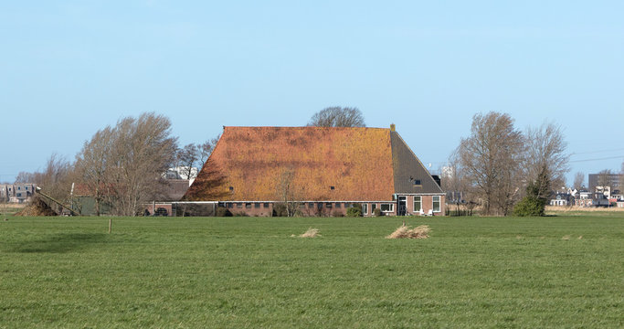 Old dutch farm