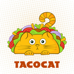 Tacocat surprised character fast food taco symbol vector illustration. Puzzled cat mascot with tasty beef meat, salad and tomato in traditional taco with sign Tacocat for social media promotion