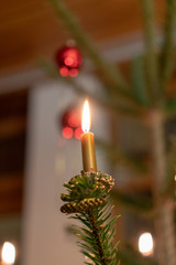 Brennende Kerze auf Christbaum