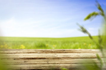 Desk of free space and spring time 