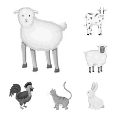 Vector design of homestead and agriculture logo. Collection of homestead and kitchen  stock vector illustration.