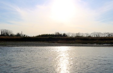 風景　思川　春　午後　とちぎ