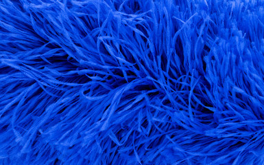 Bule feathers Background