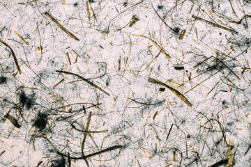 White and grey abstract texture and background for design. Close up view of vintage texture and background.