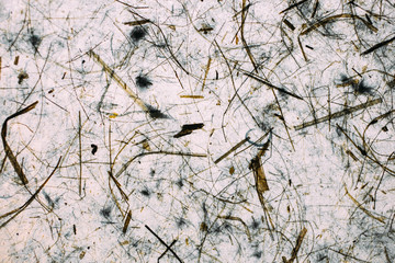 White and grey abstract texture and background for design. Close up view of vintage texture and background.