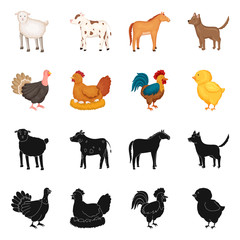 Vector illustration of breeding and kitchen  sign. Collection of breeding and organic  stock vector illustration.