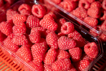 fresh raspberries on wooden table