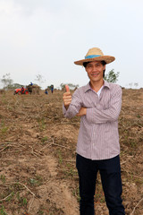Fototapeta premium Male farmer standing and thumbs up in the cassava farm.