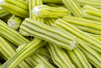 Bitter cucumber-chinese (Moringa oleifera Lam.) ready for cooking