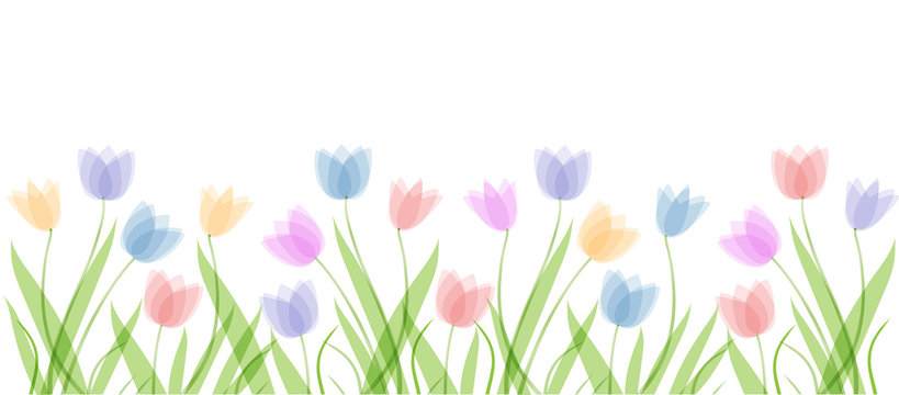Flat horizontal background template with hand drawn pastel colors tulips. Spring flowers. Elements for design, scrapbooking, pacaging, wallpaper