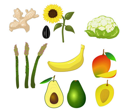 Set of vector illustrations fruit and vegetables ginger sunflower avocado mango banana  asparagus  cauliflower isolated on white background