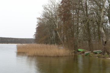 Reeds, rushes and small boats, Kierskie Lake, Poznań, Poland