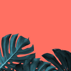 Frame of tropical leaves of monstera on a new color Living Coral background, place for text.