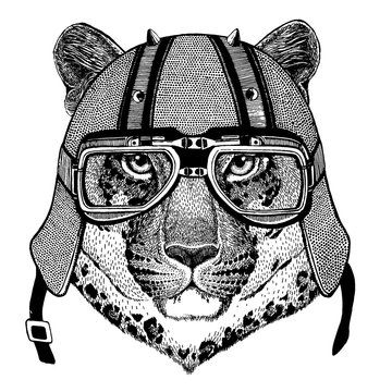 Leopard, jaguar, wild cat, panther wearing a motorcycle, aero helmet. Hand drawn image for tattoo, t-shirt, emblem, badge, logo, patch.
