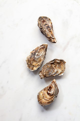 Fresh seafood - raw natural closed oysters on a stone white background with copy space. Top view