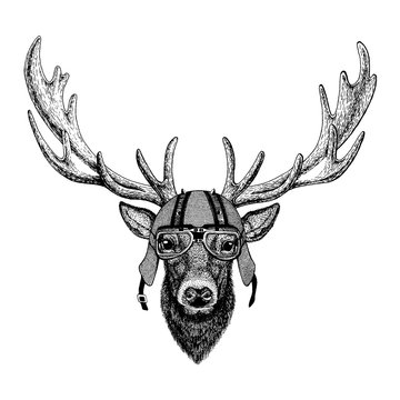 Deer wearing a motorcycle, aero helmet. Hand drawn image for tattoo, t-shirt, emblem, badge, logo, patch.