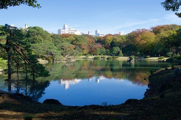 Fototapeta premium 六義園の池