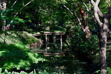 Fototapeta na wymiar 六義園の石橋