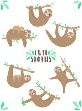 Vector set of funny sloths. Hand-drawn cartoon illustration of a sloth hanging on a branch for children, a tropical summer, holiday, card, banner, nursery, print, mother's day, mom, fabric