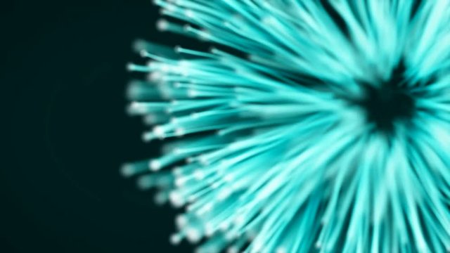 Holiday celebration, big fireworks close-up. Wires Stretch animation. Pleasant Organic Movements