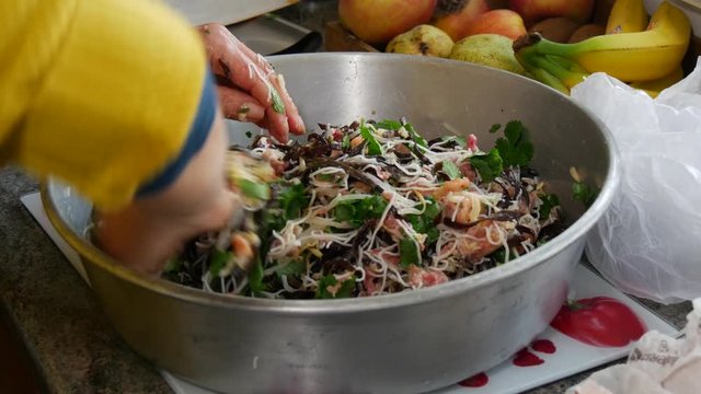 Woman preparing meal for spring rolls