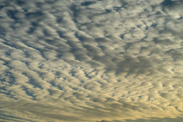 うろこ雲