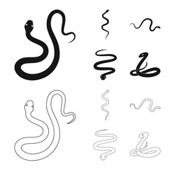 Vector illustration of mammal and danger symbol. Set of mammal and medicine stock vector illustration.