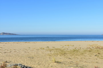 Fototapeta na wymiar Beach with golden sand, grass and blue sky. Galicia, Spain.