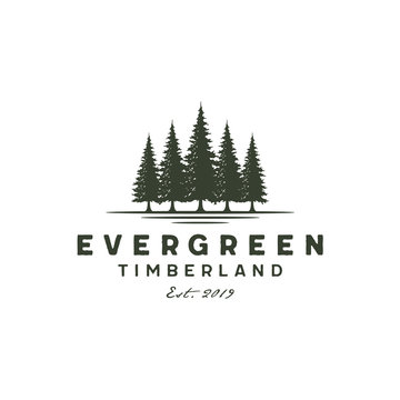 Rustic Retro Vintage pine evergreen fir hemlock spruce conifer cedar coniferous cypress larch pinus trees silhouette logo design