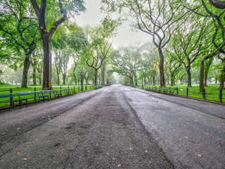 Central Park Mall on foggy rainy day