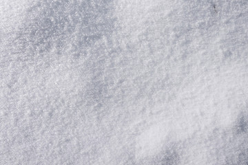 Fototapeta premium Fresh snow