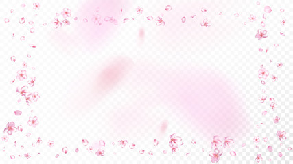 Nice Sakura Blossom Isolated Vector. Summer Showering 3d Petals Wedding Frame. Japanese Blooming Flowers Wallpaper. Valentine, Mother's Day Realistic Nice Sakura Blossom Isolated on White