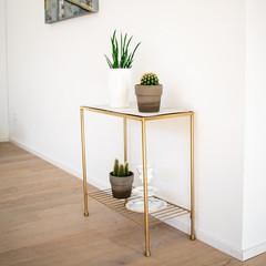 interior decoration; golden-marble side table with indoor plants on parquet floor