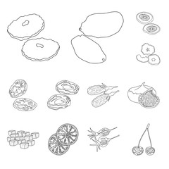 Fototapeta premium Isolated object of food and raw sign. Set of food and nature stock vector illustration.