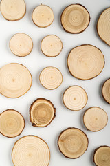 Pine tree cross-sections with annual rings on white background. Lumber piece close-up shot, top view.