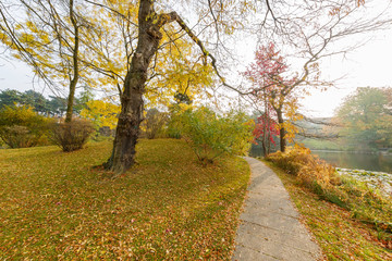 The beautiful fall color around Botanical Garden