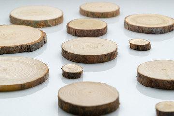 Pine tree cross-sections with annual rings on plane white surface. Lumber piece close-up shot.