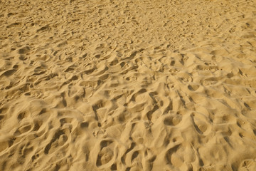 sand beach with footprints