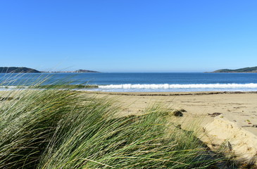 Fototapeta na wymiar Beach with vegetation in sand dunes, waves and blue sky. Galicia, Spain.